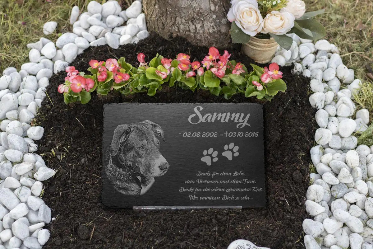 Tier Grabstein für Hund oder Katze aus Schiefer mit Foto-Gravur 30×20 cm