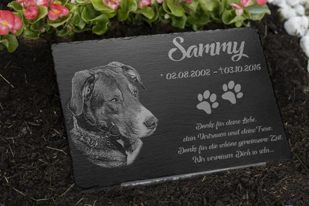 Tier Grabstein für Hund oder Katze aus Schiefer mit Foto-Gravur 30×20 cm